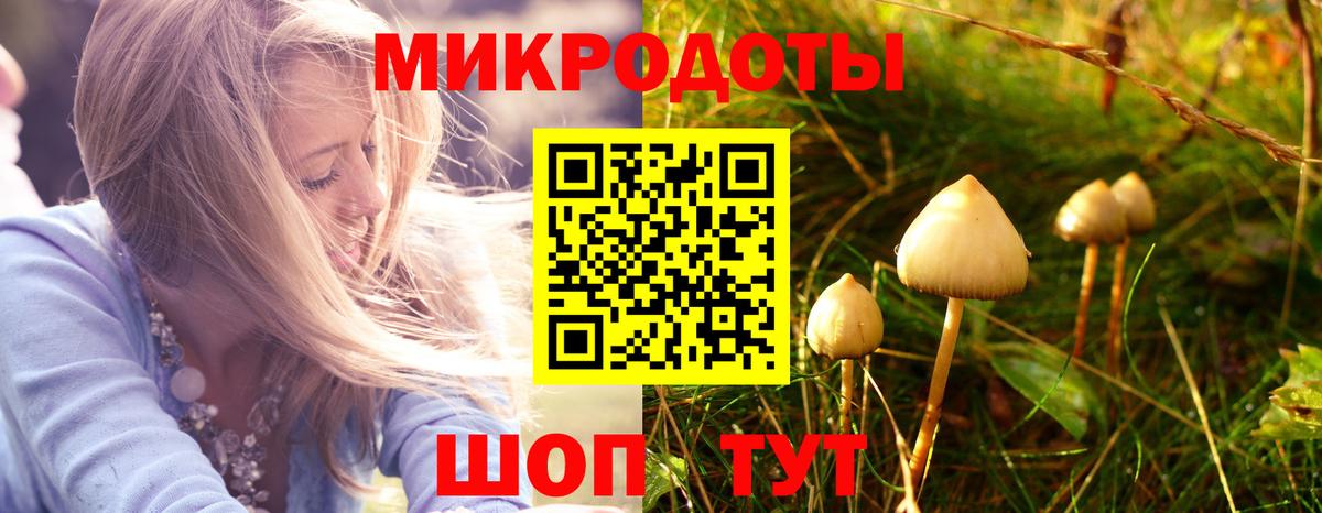 Галлюциногенные грибы MAGIC MUSHROOMS  Вход с VPN  Новодвинск 